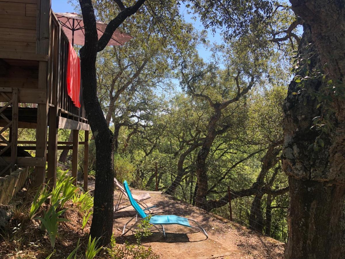 Camping De Parpaillon Roquebrune-sur Argens Exteriér fotografie